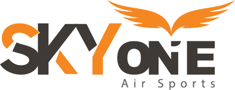SkyOne Logo
